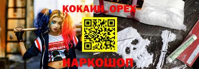 соль ск Партизанск