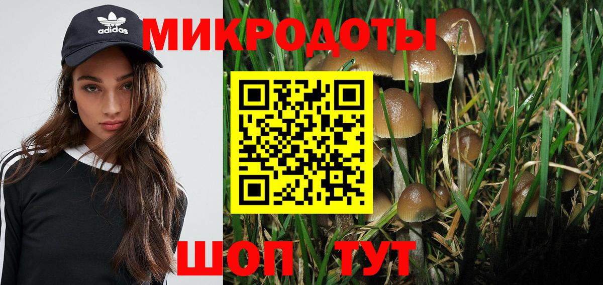 Псилоцибиновые грибы Psilocybine cubensis  Вход с VPN  Сургут 